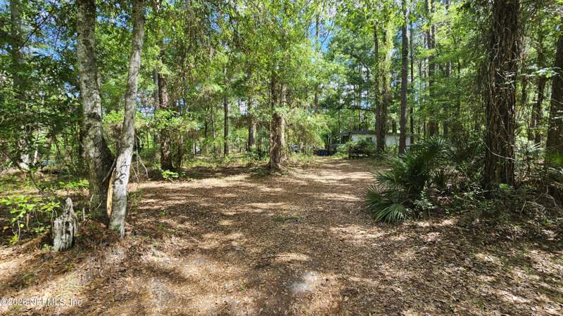 8 bedroom Single Family Residence at 6324 Lannie Road, Ogilvie Estates, Jacksonville — photo 5