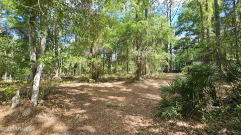 6324 Lannie Road, Jacksonville FL - photo 6 of 62