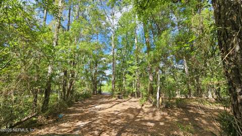 6324 Lannie Road, Jacksonville FL - photo 7 of 62
