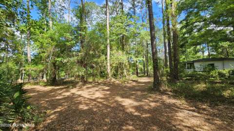 6324 Lannie Road, Jacksonville FL - photo 8 of 62