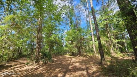 6324 Lannie Road, Jacksonville FL - photo 9 of 62