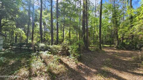 6324 Lannie Road, Jacksonville FL - photo 20 of 62