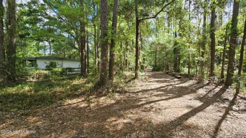 6324 Lannie Road, Jacksonville FL - photo 24 of 62