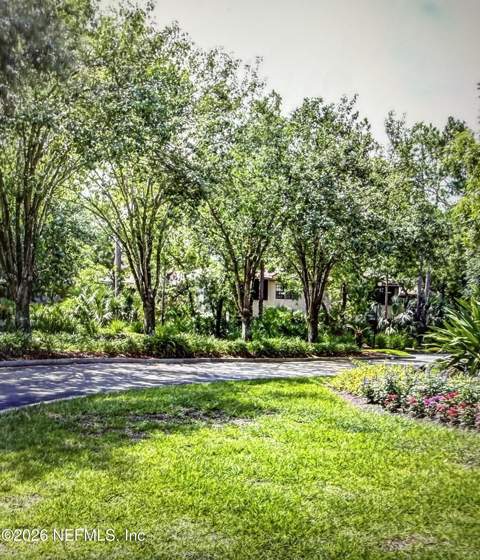 10150 Belle Rive Boulevard #2702, Jacksonville FL - photo 23 of 32