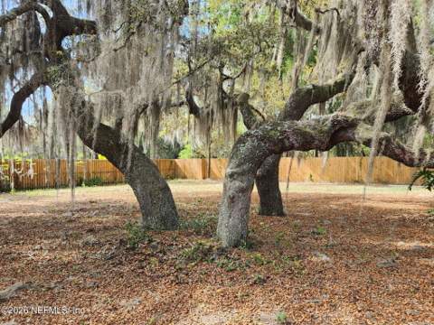 6960 Immokalee Road, Keystone Heights FL - photo 12 of 55