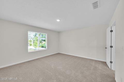 3843 Baxley Villas Court, Middleburg FL - photo 17 of 26