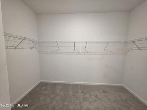 3295 Willowleaf Lane, Green Cove Springs FL - photo 12 of 29