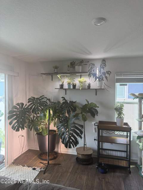 12507 Rubber Fig Terrace, Jacksonville FL - photo 9 of 29