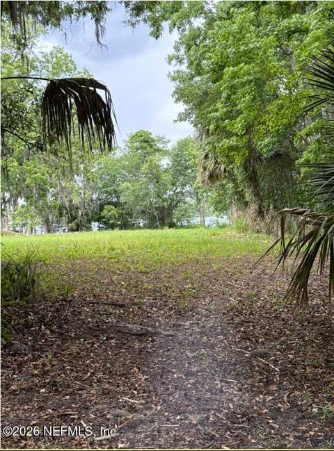 0 Weerts Road, San Mateo FL - photo 11 of 14