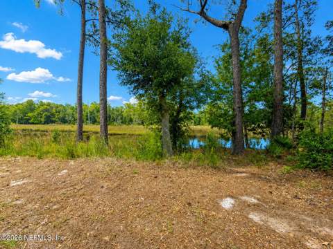 4017 Clearbrook Cove Road, Jacksonville FL - photo 14 of 57