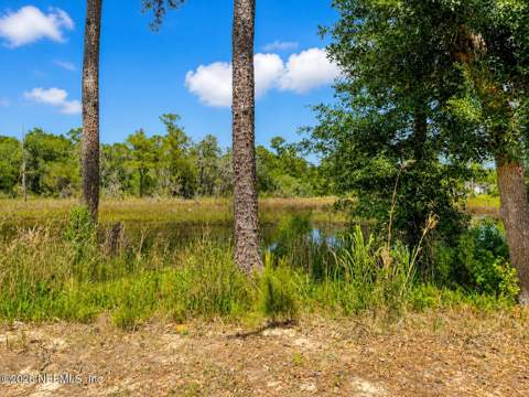4017 Clearbrook Cove Road, Jacksonville FL - photo 18 of 57