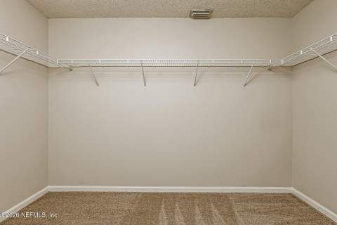 9750 Hazel Lake Drive, Jacksonville FL - photo 16 of 21