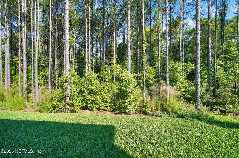 4 bedroom Single Family Residence at 75505 Banyan Way, Tributary, Yulee — photo 4