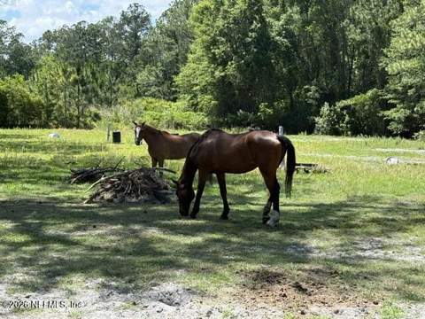 5214 Carter Spencer Road, Middleburg FL - photo 11 of 50