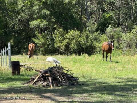 5214 Carter Spencer Road, Middleburg FL - photo 12 of 50