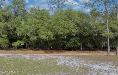 136 Short Pine Road, Hawthorne FL - photo 10 of 39