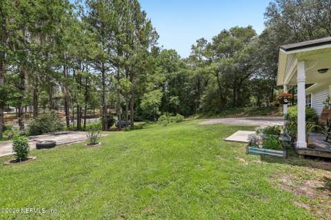 4379 Tarragon Avenue, Middleburg FL - photo 15 of 51