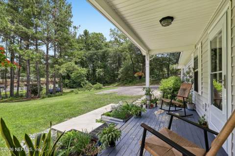 4379 Tarragon Avenue, Middleburg FL - photo 16 of 51