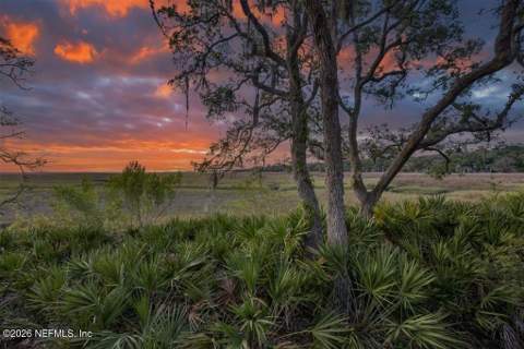 3111 Sea Marsh Road, Fernandina Beach FL - photo 7 of 22