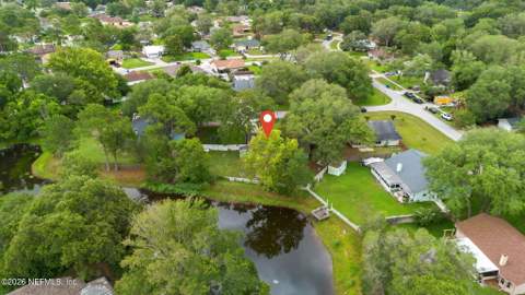 1712 Bristlecone Pine Place, Jacksonville FL - photo 10 of 43