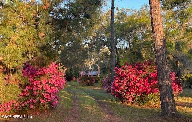2 bedroom Single Family Residence at 751 N Highway 17, Metes & Bounds, Palatka — photo 3