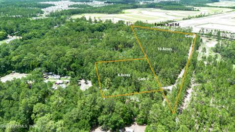 15450 Forest Trail Road, Jacksonville FL - photo 6 of 16