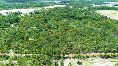 15450 Forest Trail Road, Jacksonville FL - photo 8 of 16