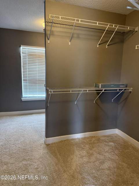12404 Cadley Circle, Jacksonville FL - photo 17 of 30