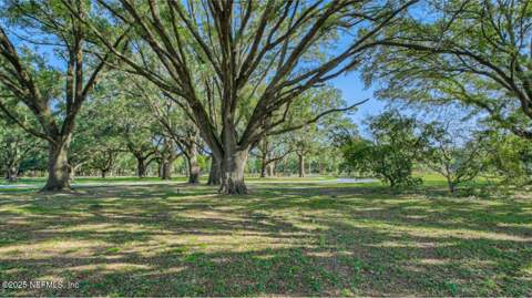 2952 Adelaide Road, Green Cove Springs FL - photo 7 of 38