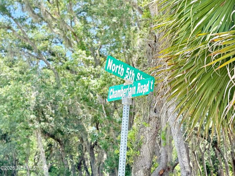 Unimproved Land at 438 Chamberlain Road, Satsuma, Satsuma — photo 3