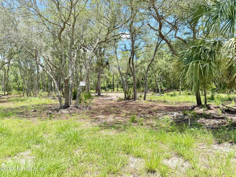 Unimproved Land at 438 Chamberlain Road, Satsuma, Satsuma — photo 4