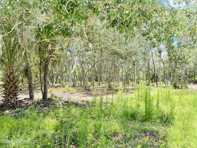 Unimproved Land at 438 Chamberlain Road, Satsuma, Satsuma — photo 5