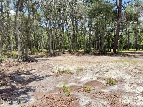 438 Chamberlain Road, Satsuma FL - photo 8 of 21