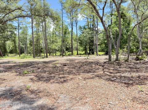 438 Chamberlain Road, Satsuma FL - photo 11 of 21