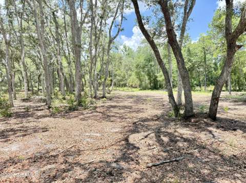 438 Chamberlain Road, Satsuma FL - photo 12 of 21
