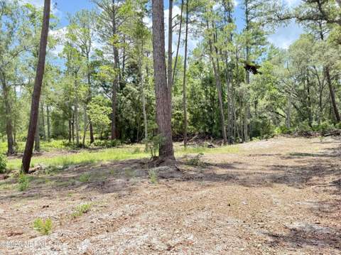 438 Chamberlain Road, Satsuma FL - photo 13 of 21