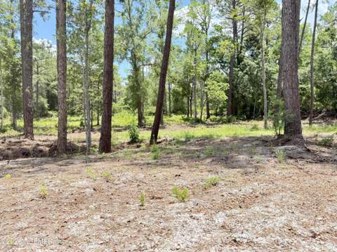 438 Chamberlain Road, Satsuma FL - photo 14 of 21