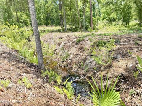 438 Chamberlain Road, Satsuma FL - photo 15 of 21