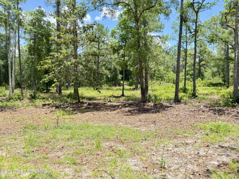 438 Chamberlain Road, Satsuma FL - photo 17 of 21