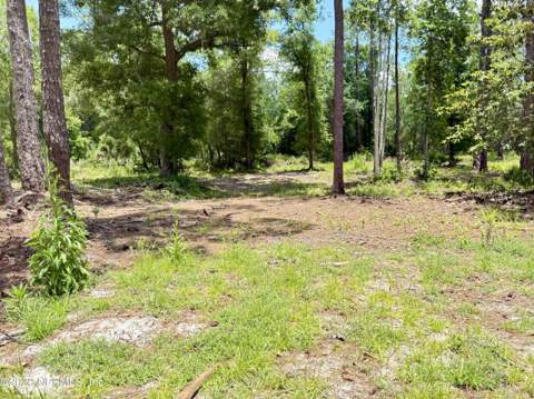 438 Chamberlain Road, Satsuma FL - photo 18 of 21