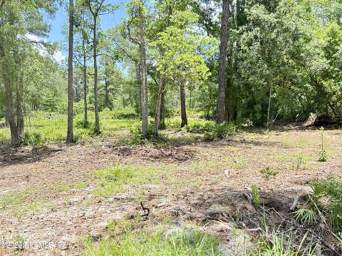 438 Chamberlain Road, Satsuma FL - photo 19 of 21