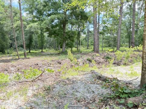 438 Chamberlain Road, Satsuma FL - photo 21 of 21