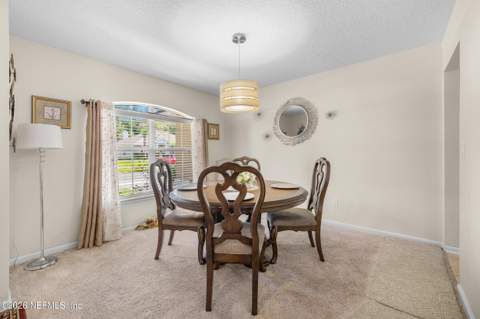 10905 Stanton Hills Drive, Jacksonville FL - photo 8 of 44