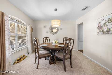 10905 Stanton Hills Drive, Jacksonville FL - photo 9 of 44