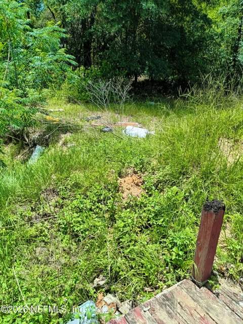 147 2nd Way, Interlachen FL - photo 9 of 13