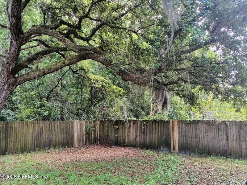 3 bedroom Single Family Residence at 8611 Darlington Drive, Harbor View, Jacksonville — photo 5