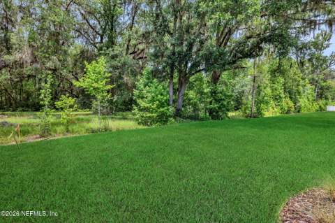 2254 Brannings Sawmill Court, Middleburg FL - photo 6 of 54