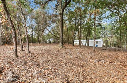 66 Panda Avenue, Middleburg FL - photo 22 of 22