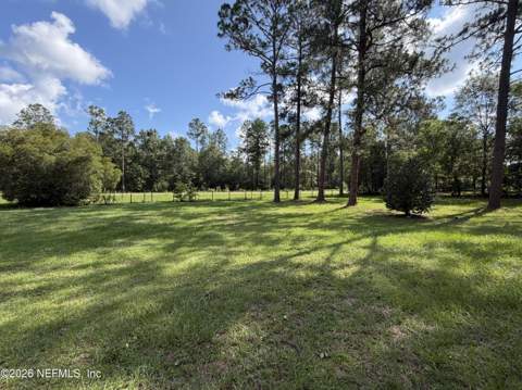 805 Jonathan Road, Jacksonville FL - photo 10 of 13