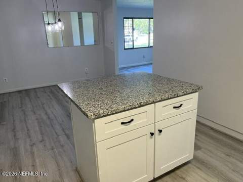 1019 Hillock Drive, Jacksonville FL - photo 14 of 52